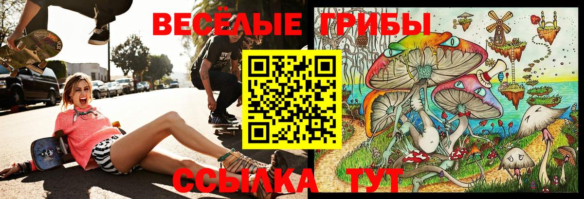 Галлюциногенные грибы Magic Shrooms Чебоксары