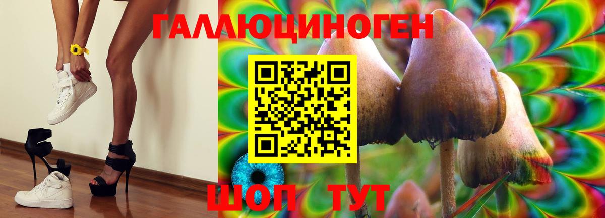Чебоксары  Псилоцибиновые грибы мицелий  Вход с VPN 